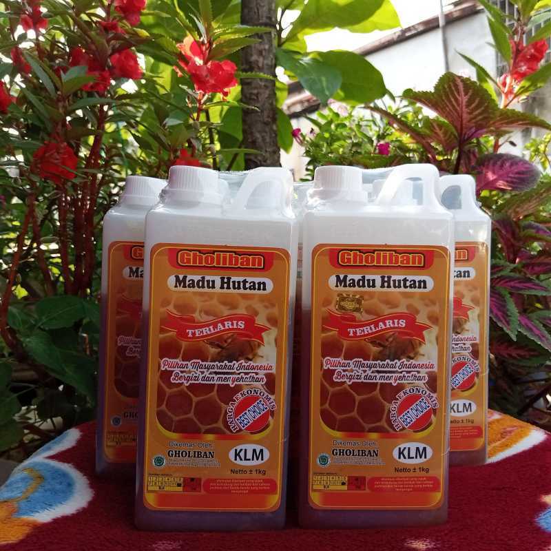 Madu Hutan Guci